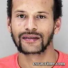 Michael Lewis JR booking photo