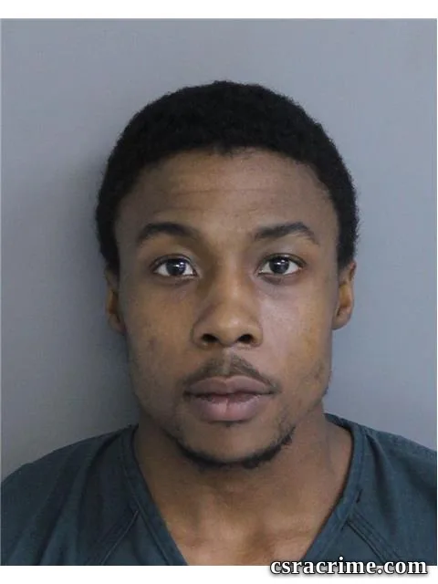 Michael Nicholson booking photo