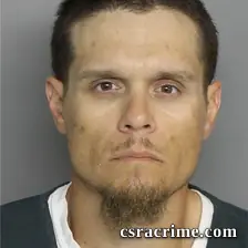 Michael Owens booking photo