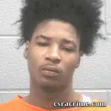 Michael Paschal Lovett booking photo