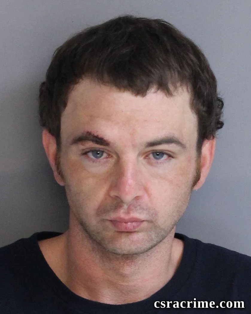 Michael Richardson booking photo
