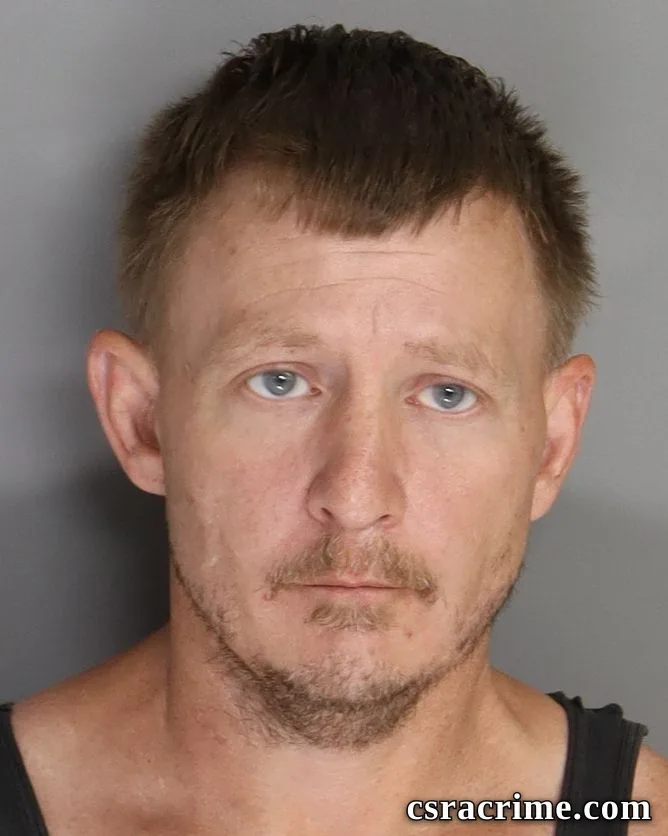 Michael Sheets JR booking photo