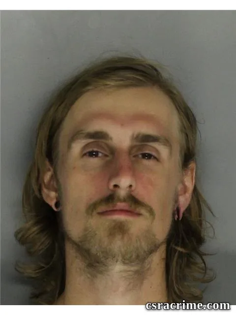 Michael Solich booking photo