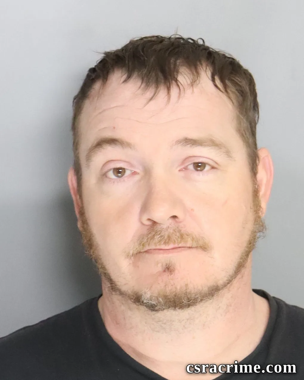 Michael Stephenson booking photo