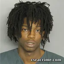 Michael Tolbert booking photo