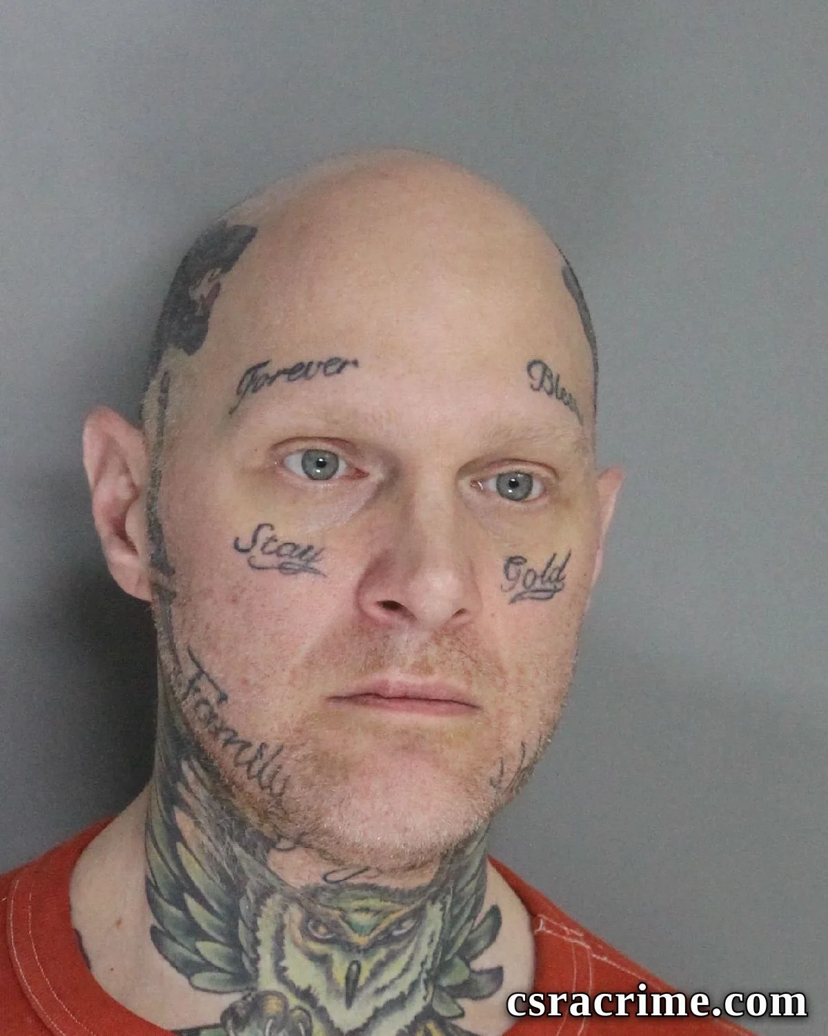 Michael Triolo JR booking photo