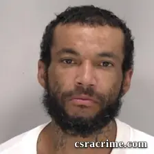 Michael Viley booking photo