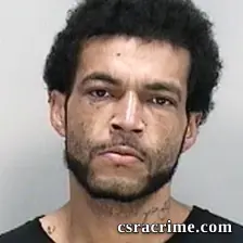 Michael Viley booking photo