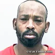 Michael Wells booking photo