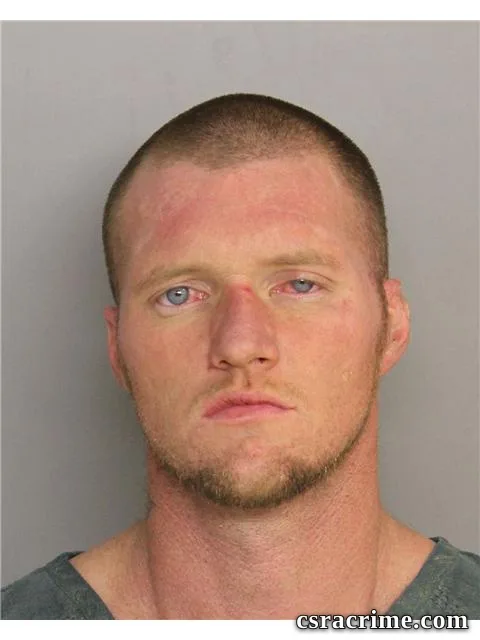 Michael Williams JR booking photo