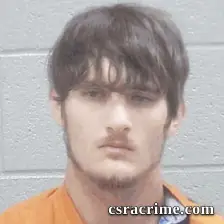 Michael Wise booking photo