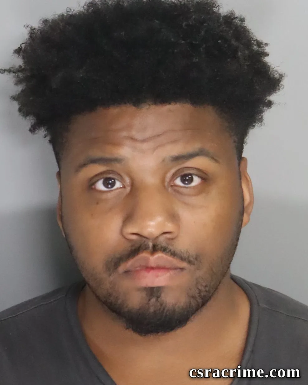 Michaiah Johnson booking photo