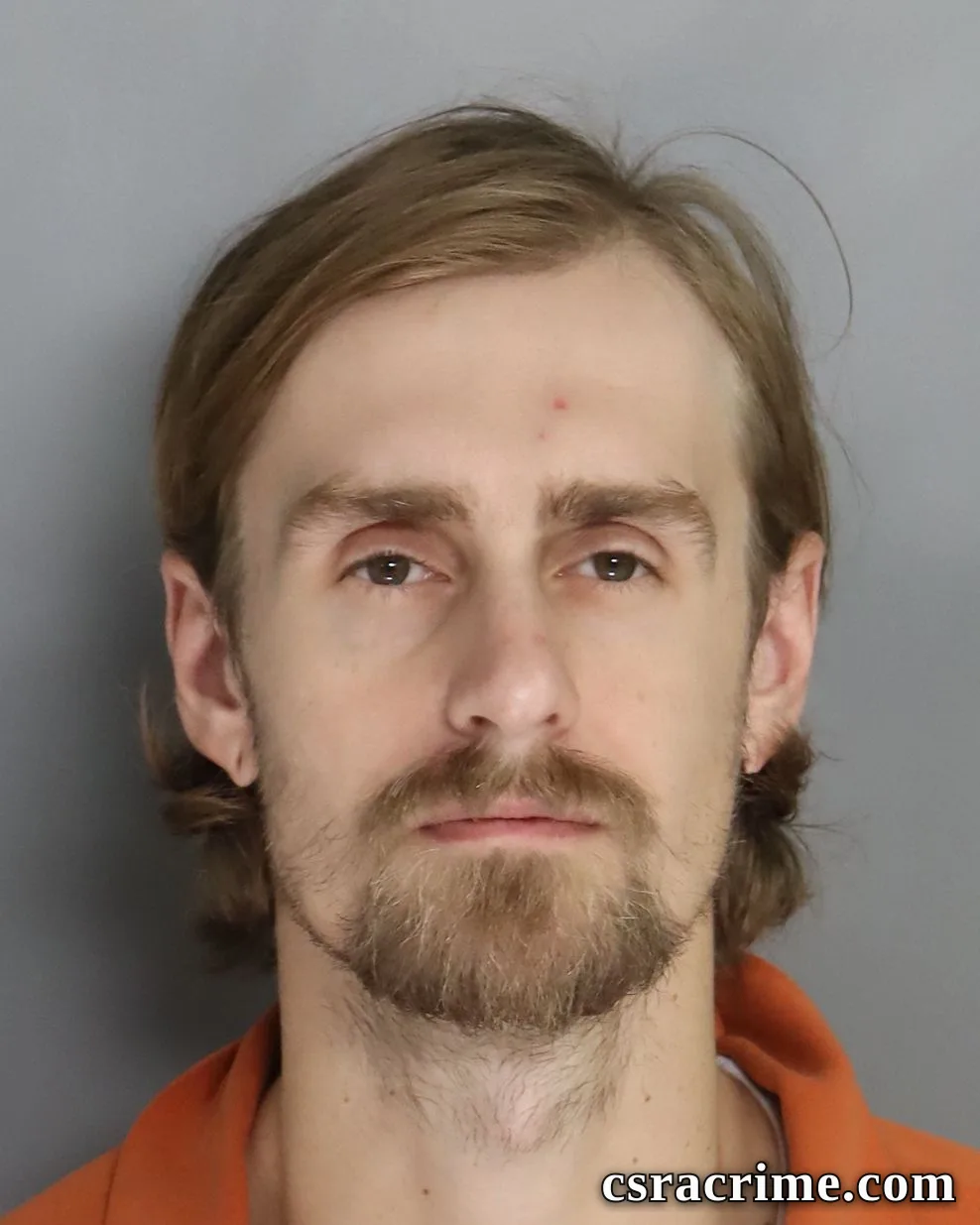 Michal Solich booking photo