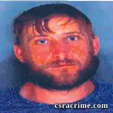 Micheal Levinsohn booking photo