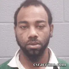 Michel Chamberlain booking photo