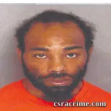 Michel Chamberlain booking photo