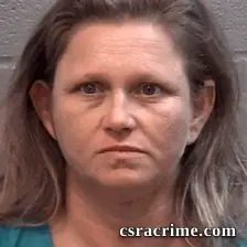 Michelle Beason booking photo