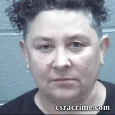 Michelle Collins booking photo