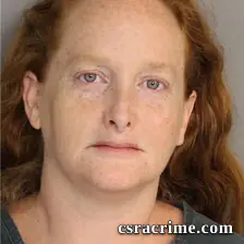 Michelle Cook booking photo