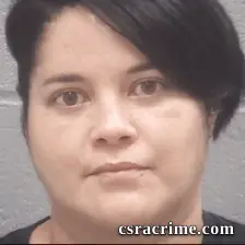 Michelle Curtis booking photo