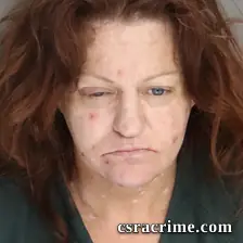 Michelle Dawley booking photo