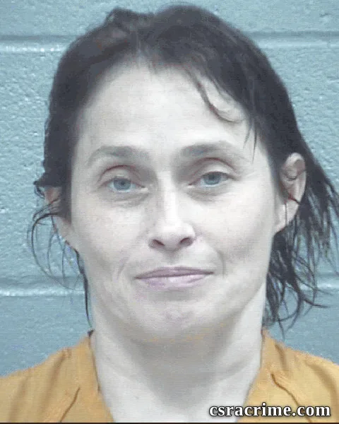 Michelle Disher booking photo