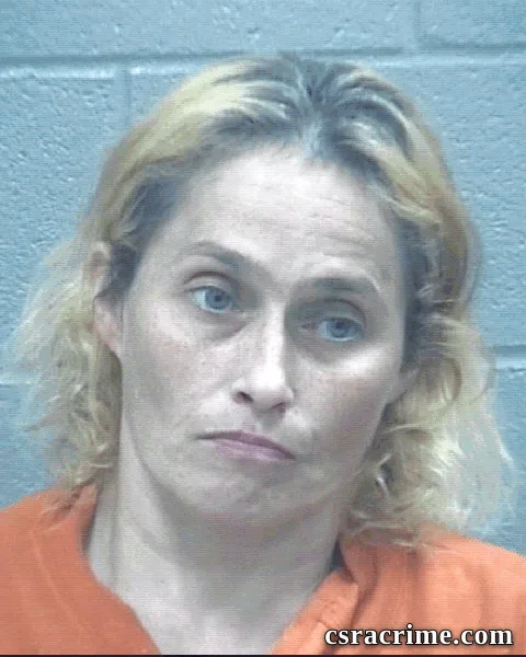 Michelle Disher booking photo
