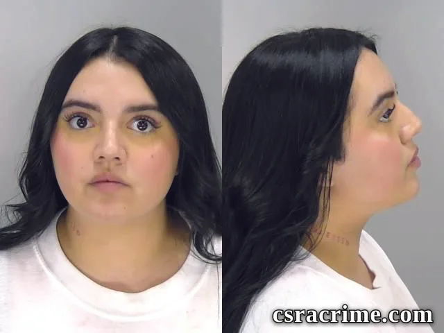 Michelle Escalante-Tejada booking photo