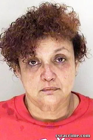 Michelle Henley booking photo