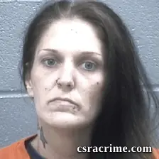 Michelle Howard booking photo