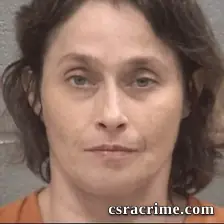 Michelle Lynn Disher booking photo