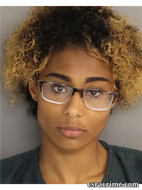 Michelle Mcilwain booking photo