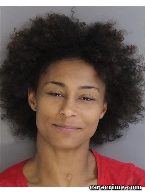 Michelle Mcilwain booking photo