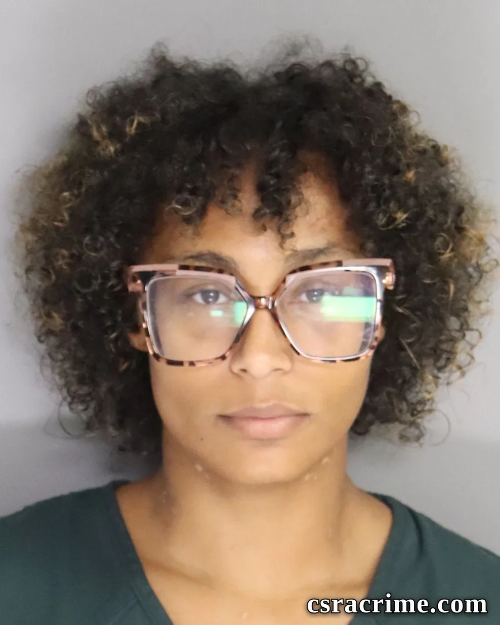 Michelle Mcilwain booking photo