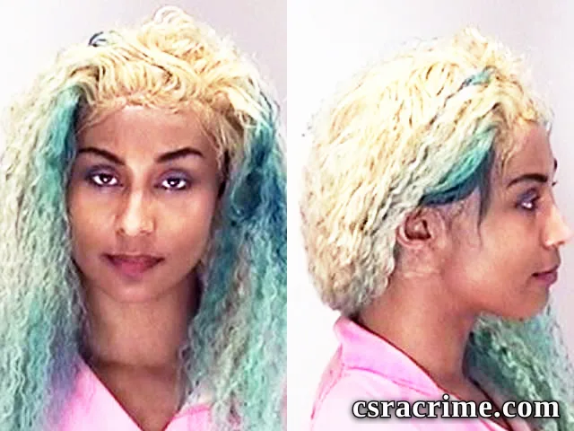 Michelle Mcilwain booking photo