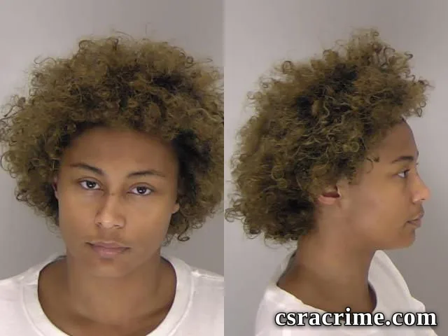 Michelle Mcilwain booking photo