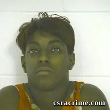Michelle Stephens booking photo