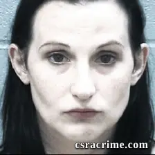 Michelle Wagoner booking photo