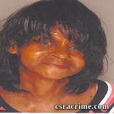 Michelle Williams booking photo