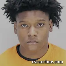 Mikael Pettersend JR booking photo