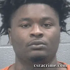 Mikell Sanders booking photo