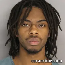 Mikkel Robinson booking photo