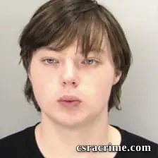 Mikle W Johnston booking photo