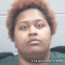 Mikole Hopkins booking photo