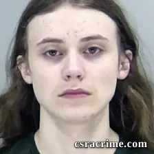 Miles Powell-Williams booking photo