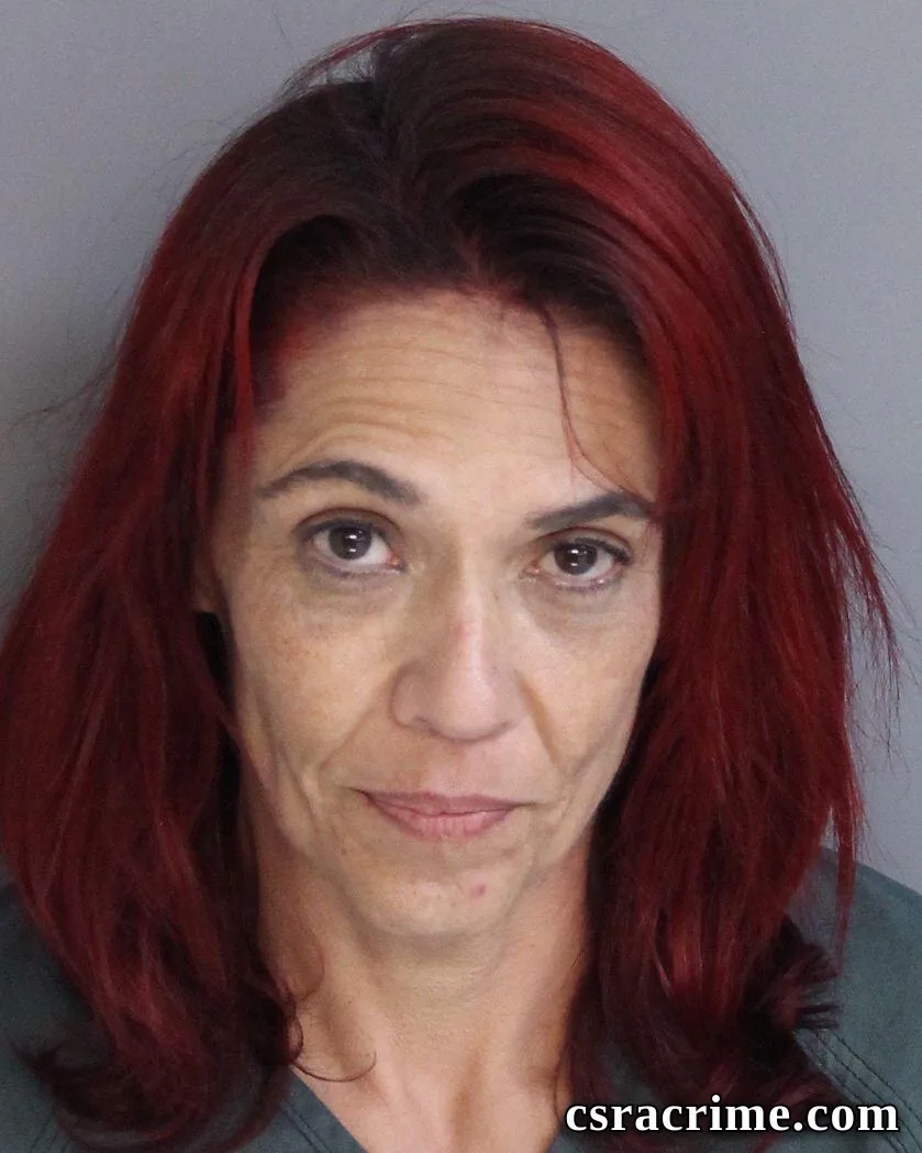 Misty Hall booking photo