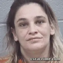 Misty Hines booking photo