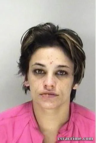 Misty Hines booking photo