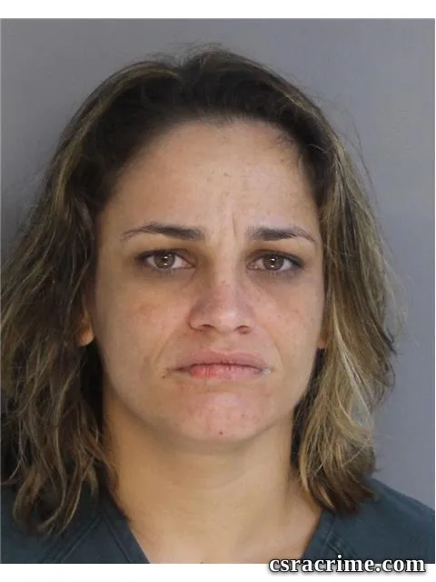 Misty Hines booking photo