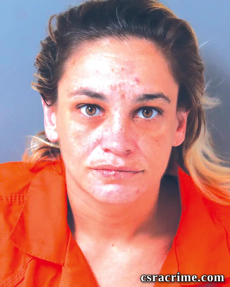 Misty Hines booking photo